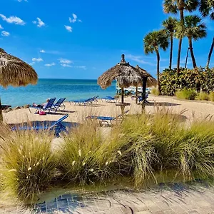 2 Bed With Balcony Facing Pool And Sunsets! , Tampa United States